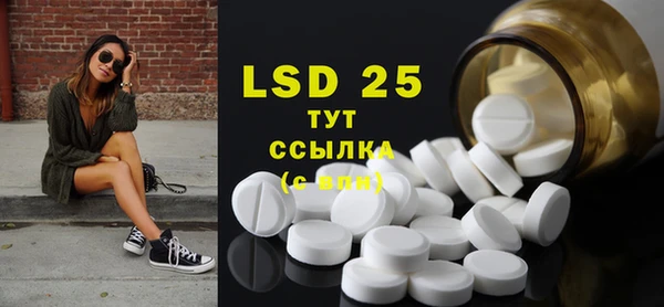 прущие грибы Бородино