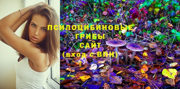 прущие грибы Бородино