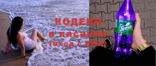 прущие грибы Бородино