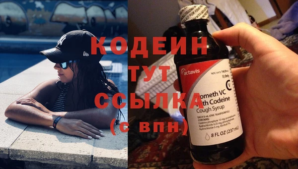 прущие грибы Бородино