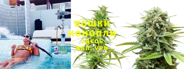 прущие грибы Бородино