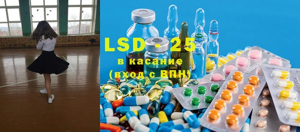 прущие грибы Бородино