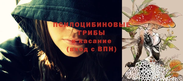 mdpv Осинники