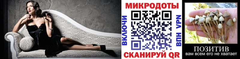 Псилоцибиновые грибы Psilocybine cubensis  MEGA ONION  Новоульяновск 